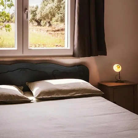 Trullo Pietra Bianca בית נופש אוסטוני
